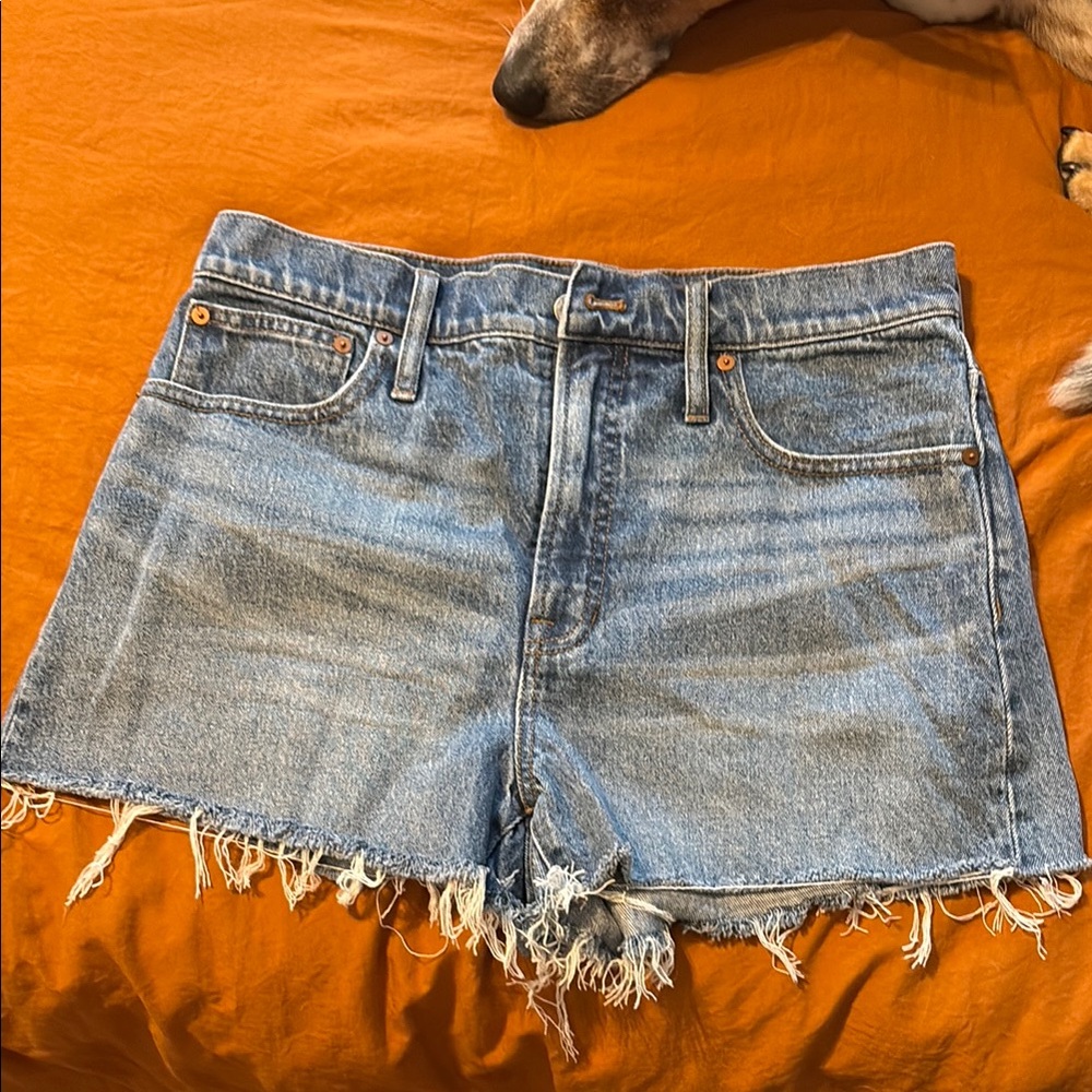 Classic High-Rise Denim Shorts in Light Blue